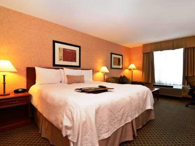 Hampton & By Hilton Langley-surrey 3* Langley